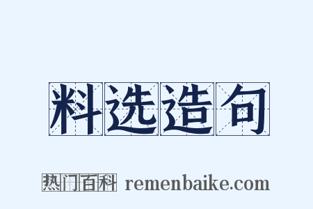 料选造句是什么意思的图片